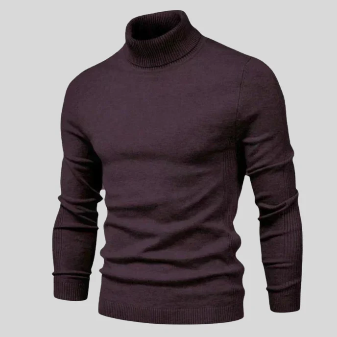 Howard | Perfect Fit Turtleneck Sweater - Image 4